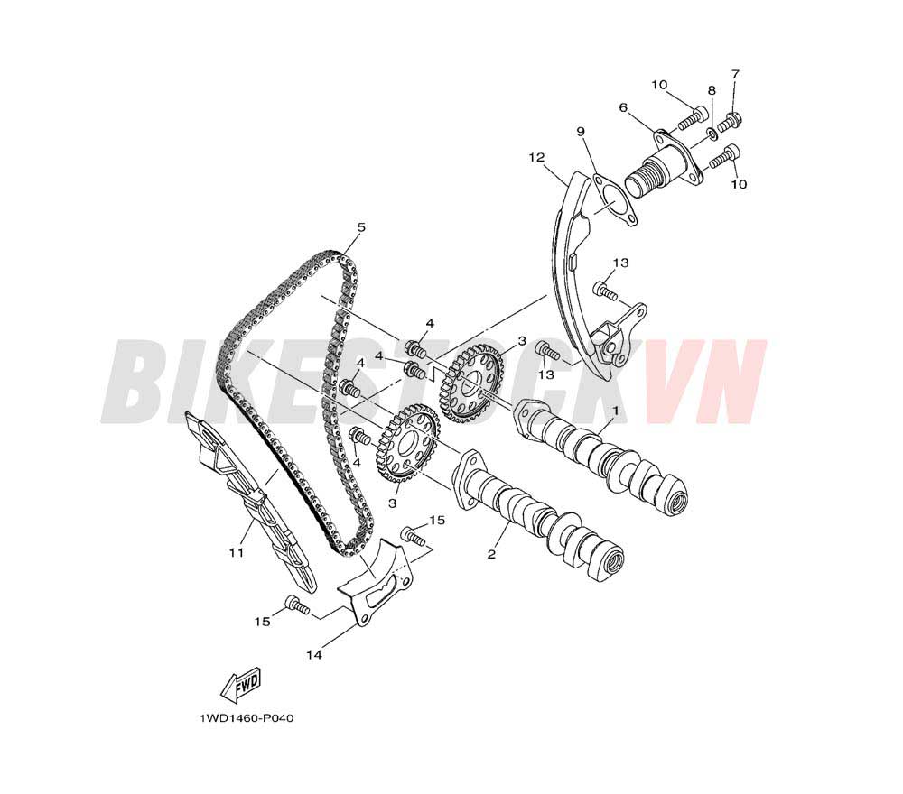 CAMSHAFT & CHAIN