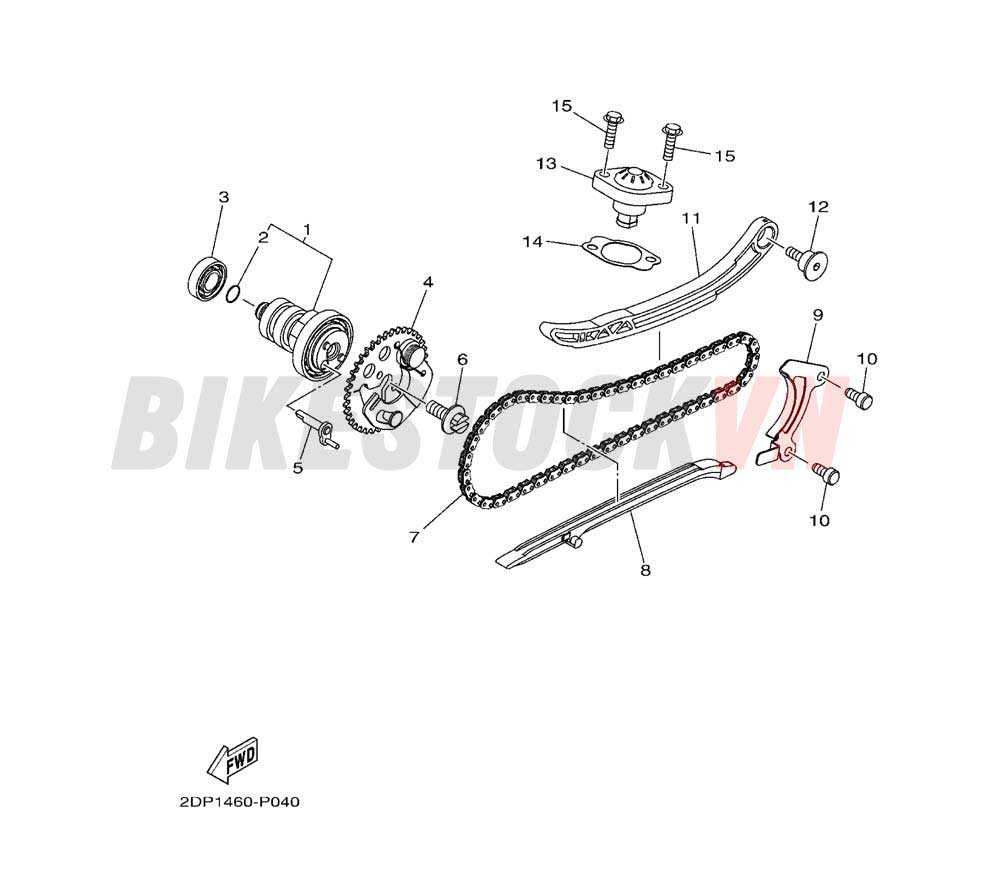 CAMSHAFT & CHAIN