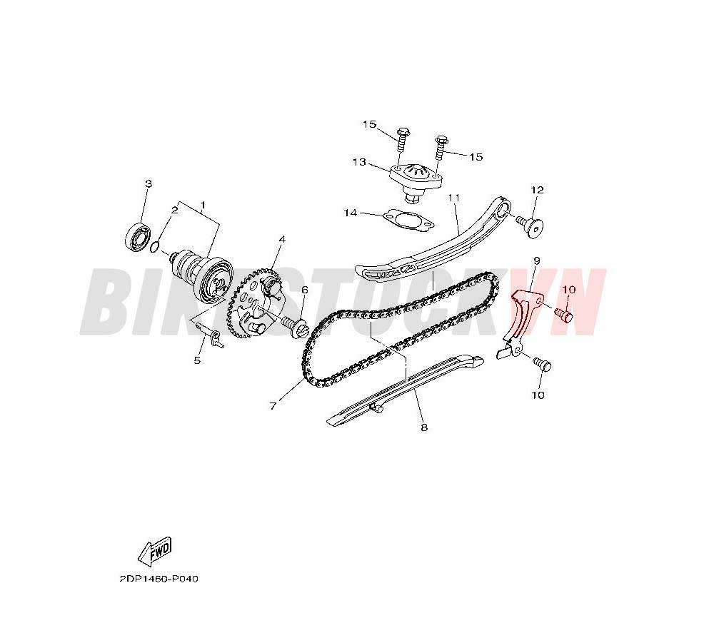 CAMSHAFT & CHAIN