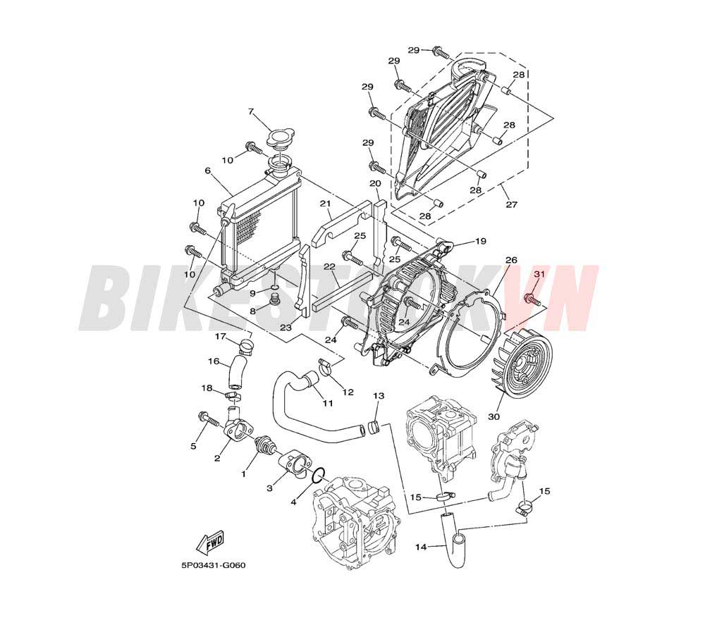 RADIATOR & HOSE(5P05/06)