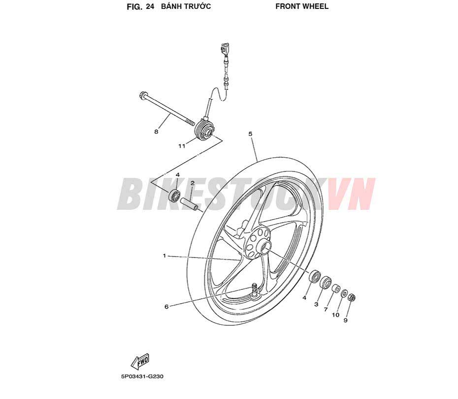 FIG-24_BÁNH TRƯỚC