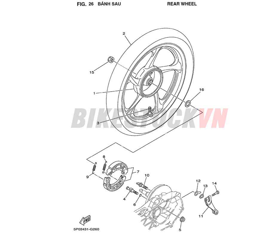 FIG-26_BÁNH SAU