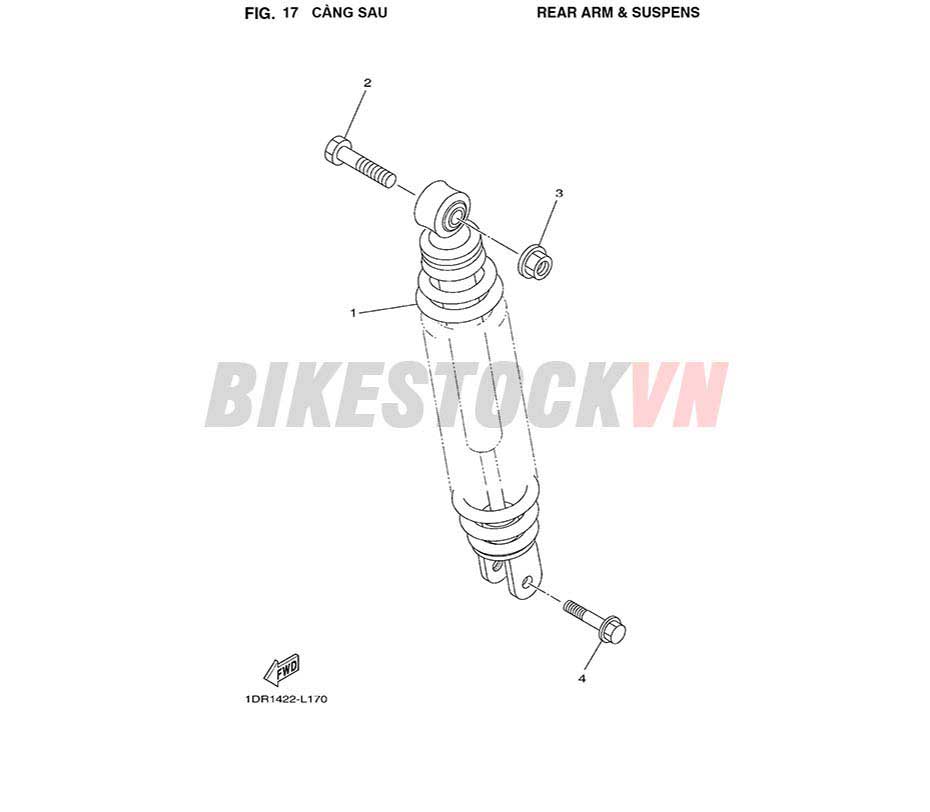 FIG-17_CÀNG SAU