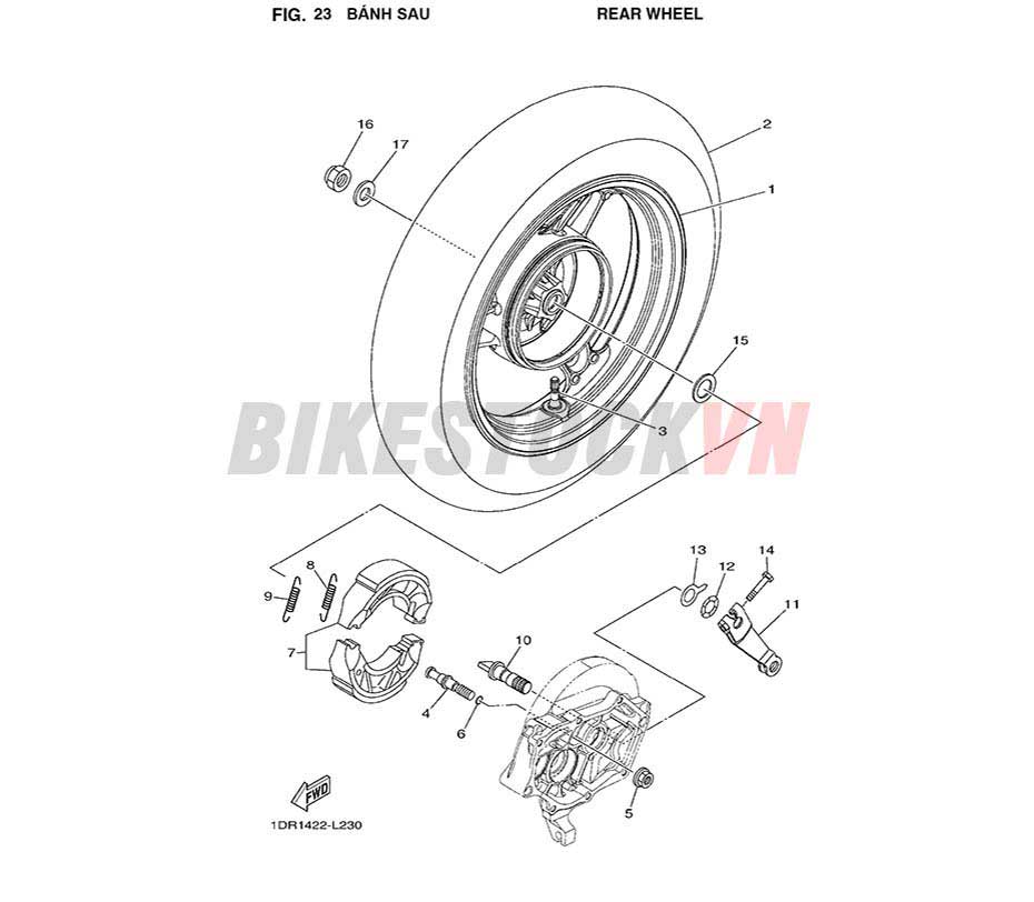 FIG-23_BÁNH SAU