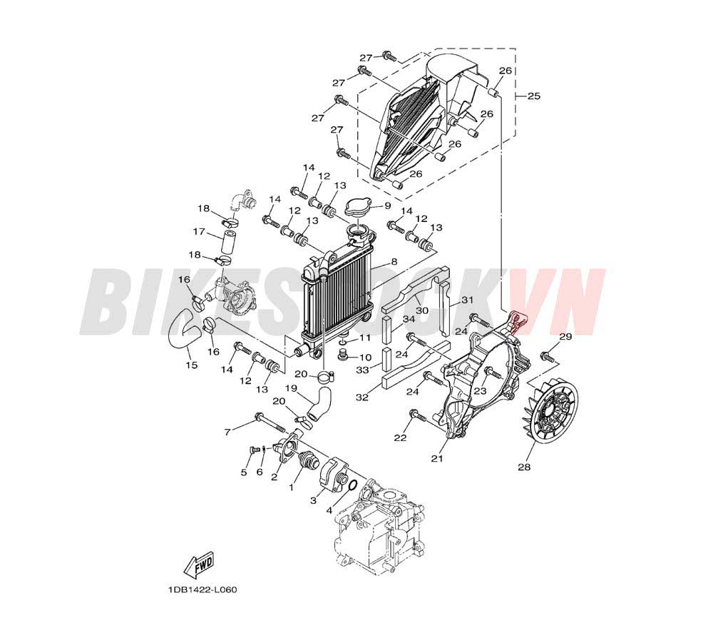 RADIATOR & HOSE (1DC1/2)