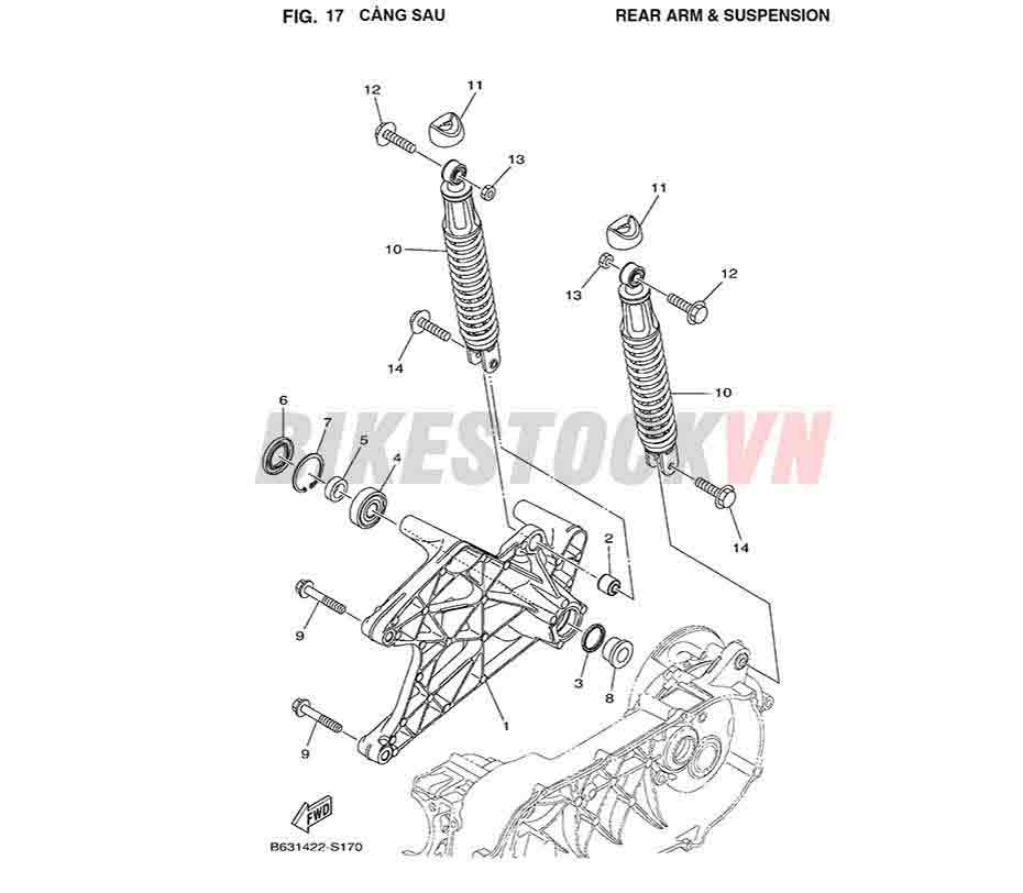 FIG-17_CÀNG SAU