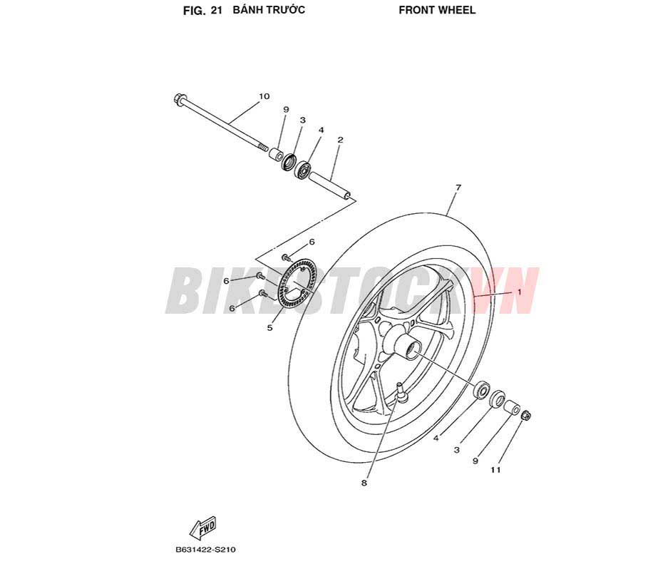 FIG-21_BÁNH TRƯỚC