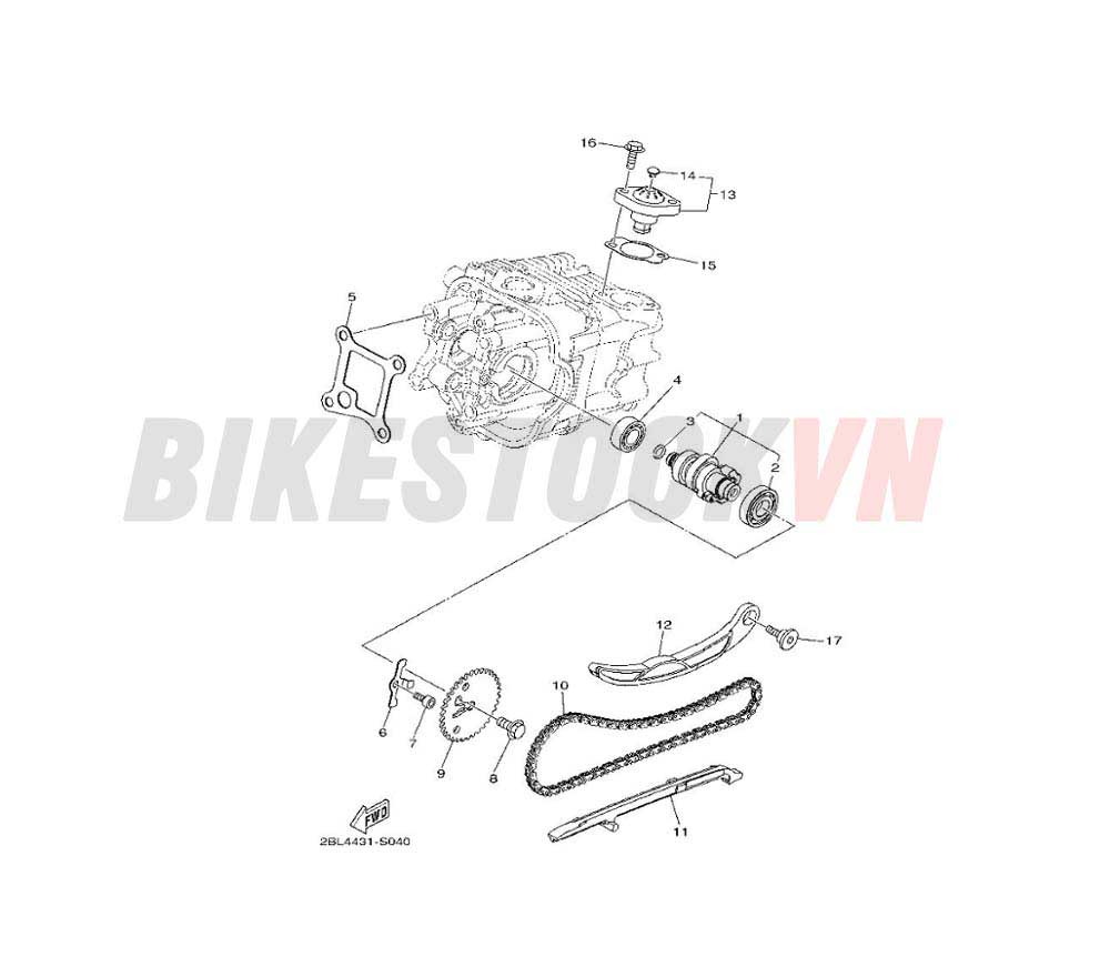 CAMSHAFT & CHAIN