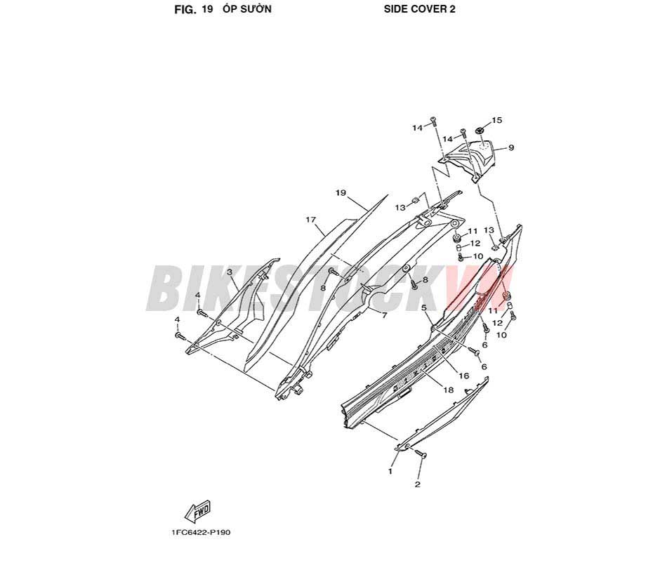 FIG-19_ỐP SƯỜN