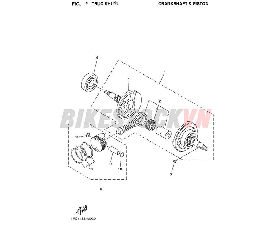 FIG-2_TRỤC KHUỶU