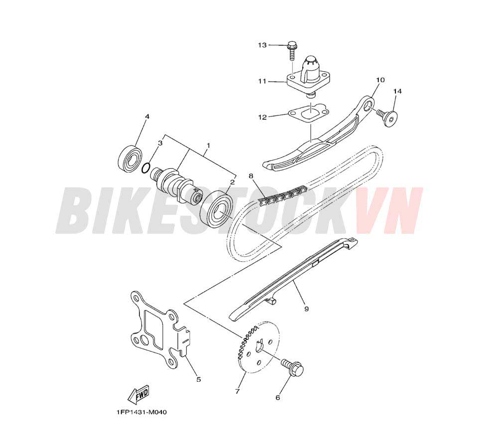 CAMSHAFT & CHAIN