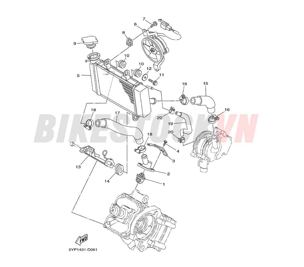 RADIATOR & HOSE (2S48/49/5YP7/P8)