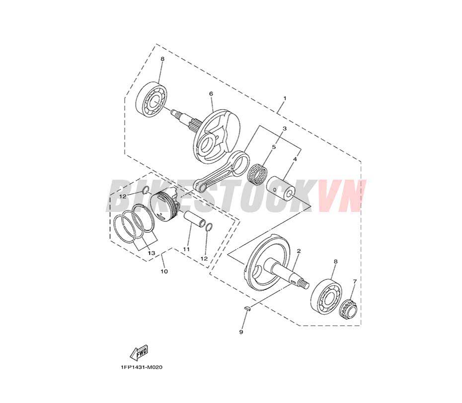 FIG-2_TRỤC KHUỶU