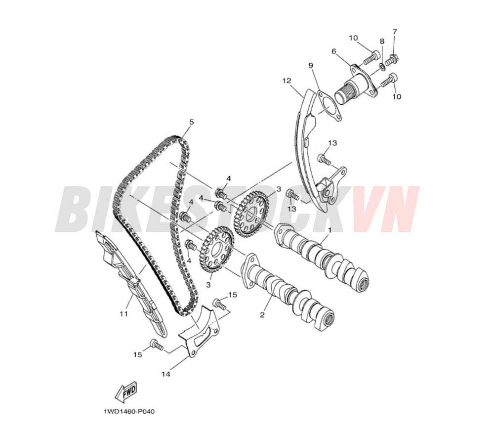 CAMSHAFT & CHAIN