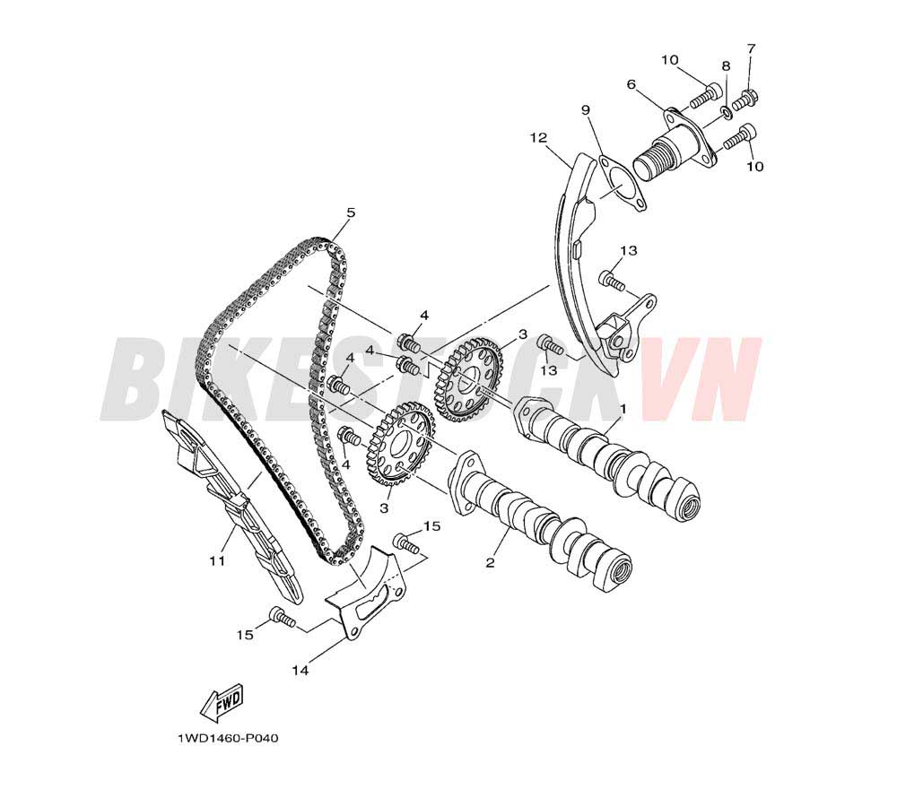 CAMSHAFT & CHAIN