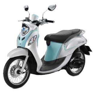 FINO125 (2018) TH